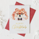 かわいい水の色のポメラニア犬ドッグメリークリスマス シーズンポストカード<br><div class="desc">メリークリスマス!このカスタマイズ可能なクリスマスポストカードで家族や友人に休日の願いを送信する。弓タイを着た水色ポメラニア犬を特徴とする。あなたの詳細を追加して、この可愛いクリスマスカードをパーソナライズ。このポメラニア犬犬のクリスマスポストカードは他のカードのストックで利用可能である。</div>