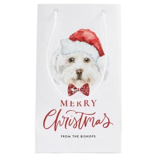 かわいい水の色のマルチーズサンタメリークリスマス スモールペーパーバッグ (正面)