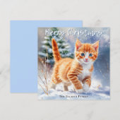 かわいい水彩の茶トラの子猫 雪 クリスマス (正面/裏面)