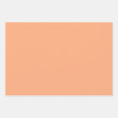 かわいい水彩ゲーゼ包み紙シート ラッピングペーパーシート (正面2)