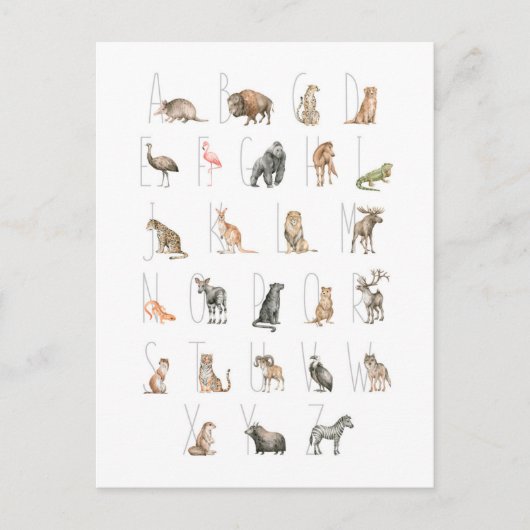 かわいい水彩動物アルファベット ポストカード (正面)