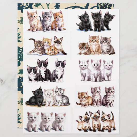 かわいい水彩子猫たち (正面/裏面)