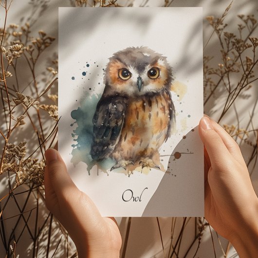かわいい水彩画のフクロウ、カスタム ポストカード