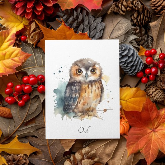 かわいい水彩画のフクロウ、カスタム ポストカード