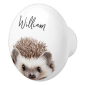 かわいい水彩画の森のハリネズミのベビー部屋 セラミックノブ (右)