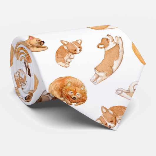 かわいい水彩画は図解入りの、写真付きのなパターンの後をつけます ネクタイ (ロール)