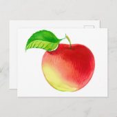 かわいい水彩赤りんご果実 ポストカード (正面/裏面)