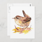 かわいい水彩青鳥、自然、野生生物 ポストカード (正面/裏面)