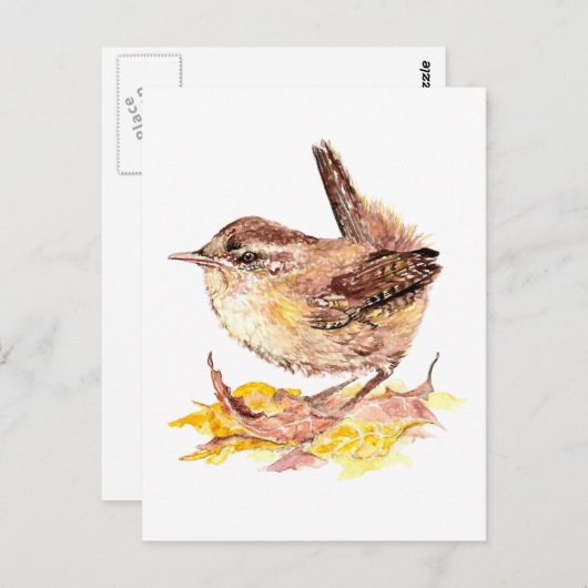 かわいい水彩青鳥、自然、野生生物 ポストカード (正面/裏面)