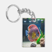 かわいい水槽 キーホルダー (正面左)