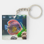 かわいい水槽 キーホルダー (裏面)