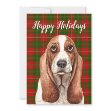 かわいい水色のバスセットハウンドカスタム