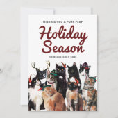 かわいい水色の猫たちパーフェクトクリスマス シーズンカード (正面)