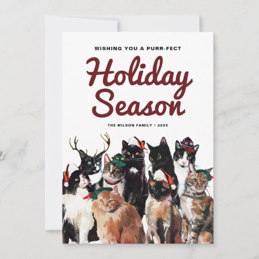かわいい水色の猫たちパーフェクトクリスマス シーズンカード (正面)