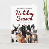 かわいい水色の猫たちパーフェクトクリスマス シーズンカード (正面)