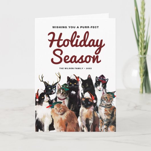 かわいい水色の猫たちパーフェクトクリスマス シーズンカード (正面)