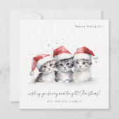 かわいい水色の猫たち、毛皮と明るいクリスマス シーズンカード (正面)