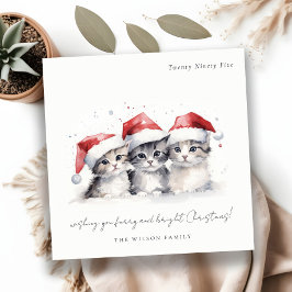 かわいい水色の猫たち、毛皮と明るいクリスマス シーズンカード