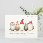 かわいい水色の猫たち、毛皮と明るいクリスマス シーズンカード (スタンド正面)