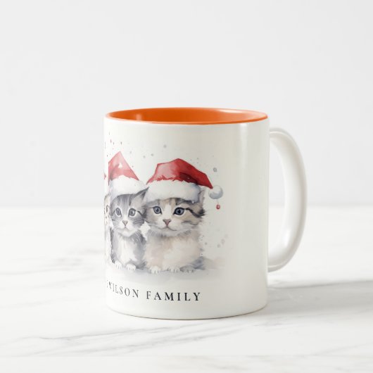 かわいい水色の猫たち、毛皮と明るいクリスマス ツートーンマグカップ (正面右)