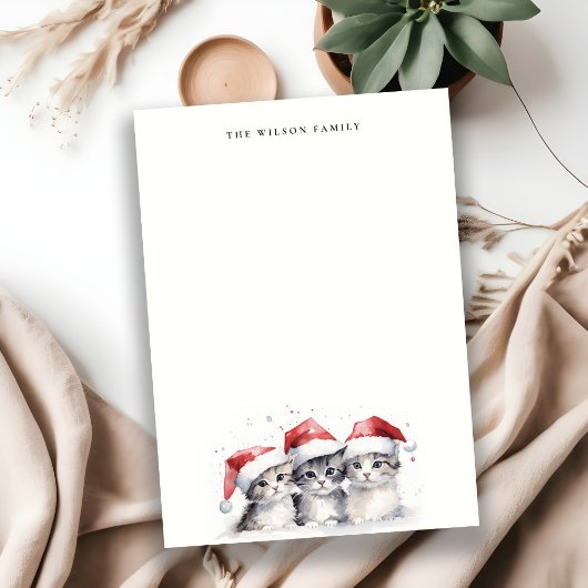 かわいい水色の猫たち、毛皮と明るいクリスマス ノートカード