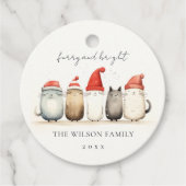 かわいい水色の猫たち、毛皮と明るいクリスマス フェイバータグ (正面)