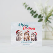 かわいい水色の猫サンタ・メリークリスマス シーズンポストカード (スタンド正面)