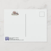 かわいい水色カタツムリ自然動物はがき ポストカード (裏面)