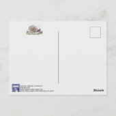 かわいい水色カタツムリ自然動物はがき ポストカード (裏面)