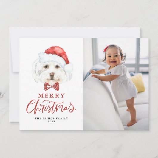 かわいい水色サンタマルチーズドッグフォトクリスマス シーズンカード (正面)