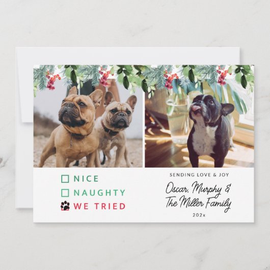 かわいい水色ペット写真クリスマス シーズンカード (正面)