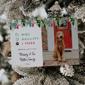 かわいい水色ペット写真クリスマス シーズンカード