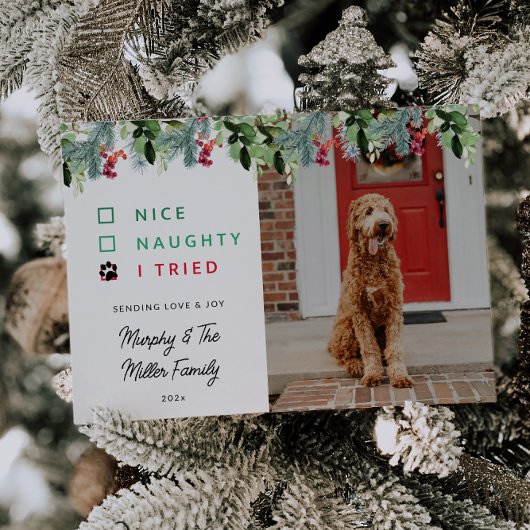 かわいい水色ペット写真クリスマス シーズンカード