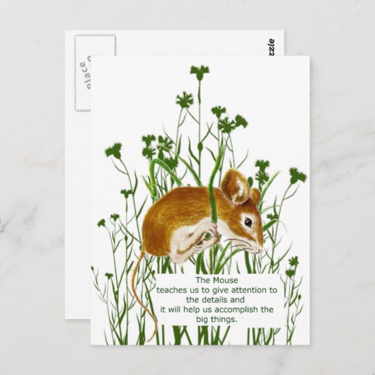 かわいい水色マウス動物トーテムスピリットガイド ポストカード (正面/裏面)