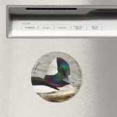 かわいい水面鴨の池へ マグネット (インサイチュ (食洗機))