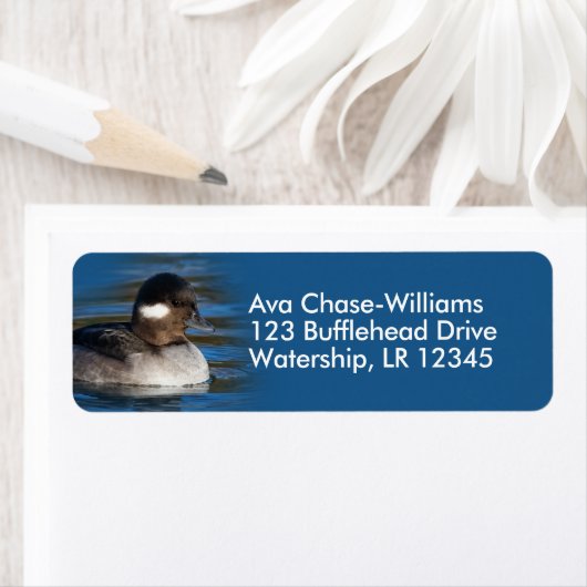 かわいい水面鴨の池へ ラベル (インサイチュ)