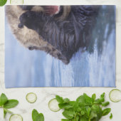 かわいい海のオーター |アラスカ（米国） キッチンタオル (折り畳み)