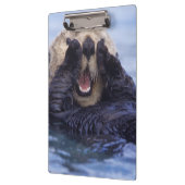 かわいい海のオーター |アラスカ（米国） クリップボード (左)