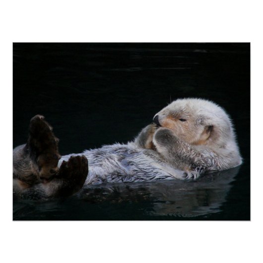 かわいい海水浴写真つやのある写真 ポスター (正面)