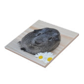 かわいい滑らかな銀アグイギニアブタとデイジー タイル (側面)