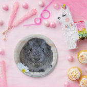 かわいい滑らかな銀アグイギニアブタとデイジー ペーパープレート (パーティー)