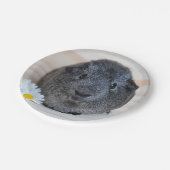 かわいい滑らかな銀アグイギニアブタとデイジー ペーパープレート (アングル)