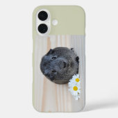 かわいい滑らかな銀アグイギニアブタとデイジー Case-Mate iPhoneケース (裏面)