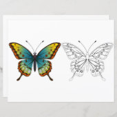 かわいい漫画の蝶の着色ページ (正面/裏面)