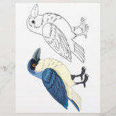 かわいい漫画の鳥のぬりえページ チラシ (正面)