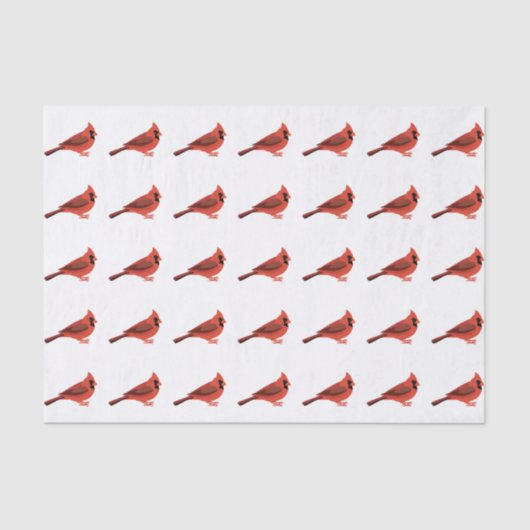 かわいい漫画（鳥）ショウジョウコウカンチョウ 薄葉紙 (正面)