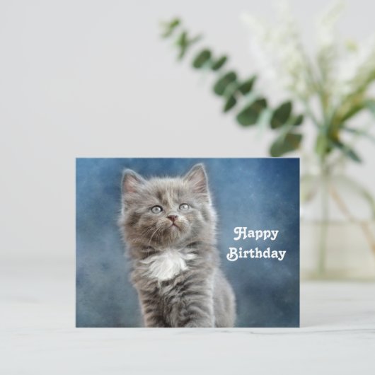 かわいい灰と白の子猫の写真の誕生日 ポストカード (スタンド正面)