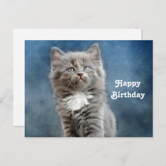 かわいい灰と白の子猫の写真の誕生日 ポストカード (正面/裏面)