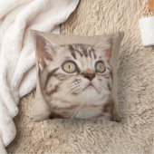 かわいい灰色のイギリスの短い髪の子ネコ(青い虎猫) クッション (ブランケット)