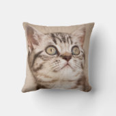 かわいい灰色のイギリスの短い髪の子ネコ(青い虎猫) クッション (裏面)